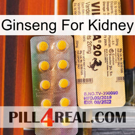 Ginseng For Kidney new06